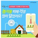 기상농장 Daum카페