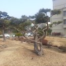 형주병원 이미지