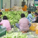 사현네보름영농조합법인 이미지