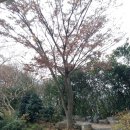 창덕중학교 이미지