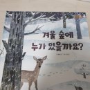 숲속머리방 이미지