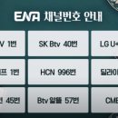 하루두피 대전유성점