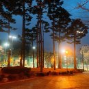 신남풋살구장 네이버블로그