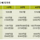 부동산 투기 누가 부추기나 (5) 이미지