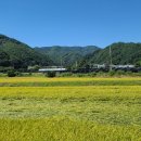 용늪대바위마을 이미지