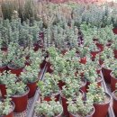 봉진농장 이미지