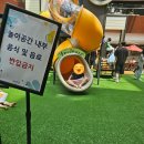 발토앤제이 | 판교 파미어스몰 아이와 가본 후기 | 무료 실내놀이터, 거북이 카페, 주차까지