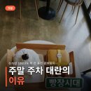 주차장 100대도 꽉 찬 포천 팜브릿지, 고모리카페 주말 웨이팅 현실