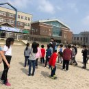 용인대 한겨레 태권도 이미지