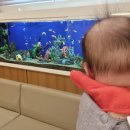 난소아청소년과의원 이미지