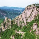 무릉이가 이미지