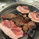 빽고기 이미지