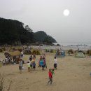 몰운대유원지 Daum카페