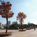 가운 중앙공원 이미지