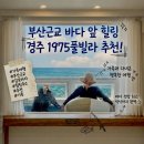 이마트24 경주감포캐스팅점 | 부산근교 가볼만한곳 가족과 다녀온 바다 앞 힐링, 경주 감포 1975풀빌라 추천