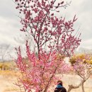부산시민공원방문자센터지하2층 | (부산여행) 분홍빛 설렘이 일렁이는 곳, 부산시민공원의 봄 마중