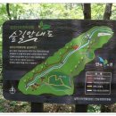 성주산 자연휴양림 대형주차장 이미지