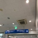 (자)비봉관광여행사 | 대마도 1박 2일도 충분한 패키지 여행 추천 1일차(서라벌여행사, 씨플라워호, 토요코인 호텔)