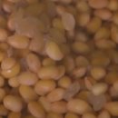 점순 농장 이미지