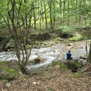 생태숲민박 이미지