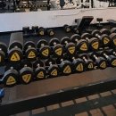 강원헬스&운동재활 이미지