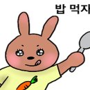 참조기집 이미지