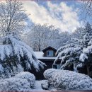 유명산자연휴양림 이미지