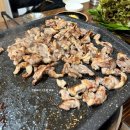 늘푸른쌈밥 | 대전 구암동 쌈밥맛집 유기농늘푸른쌈밥 가성비 후기