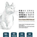 고려에프디 | [고양이 사료] 우리의 FD 와일드 오븐베이크 (토끼) 체험 후기