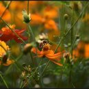 대구요양원 이미지