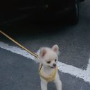 바람난가위 네이버블로그