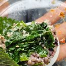 지에스25제주삼성로점 | 제주 도시락 맛집 동고량 혼밥 여행 피크닉 유채참치주먹밥 칠리새우 치킨 검정콩미숫가루 : 진짜 개...