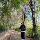 킬리 | 초경량 등산스틱 추천 킬리마 두랄루민 지팡이 등산용품 후기