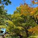 핑계식당 이미지