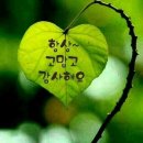 2026년1월2일 서부신년모임에 회원님들을 정중히 초대합니다 이미지