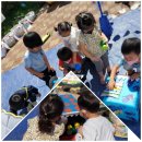 남양영재어린이집 이미지