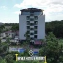 호텔 밴드(HOTEL BAND) 이미지