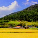 용천사입구 이미지