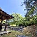 동고사 - 1244 | 경북 안동시 예안면 부포리(浮浦里)의 '부라(浮羅) 동신당(洞神堂)'