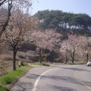 죽동리 이미지