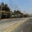 중앙동166 이미지