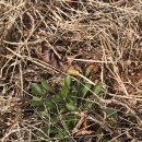 새봄농장(3) 이미지