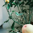 이언농장 이미지