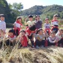 삼천남초병설유치원 이미지