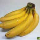 바나나 오래 보관하는 방법 이미지