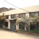 용해반점 이미지