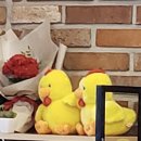 노랑통닭세종아름점 티스토리