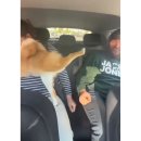 (주) 나날이 | 나날이 정신없는 6월이였다