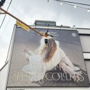 대림문구 | [서울 무료전시] 대림미술관 페트라 콜린스: fangirl 후기