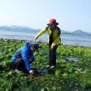 풍경소리2 이미지